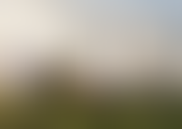 Левел Мичуринский, этапы 3 и 4