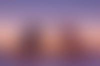 Левел Мечникова