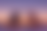 Левел Мечникова