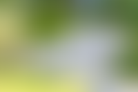 Описание изображения