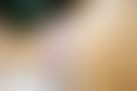 Описание изображения