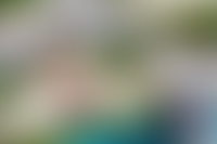 Описание изображения