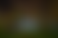 Описание изображения