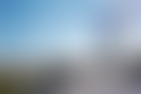 Описание изображения