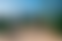 Описание изображения