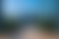 Описание изображения