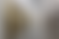 Описание изображения