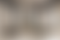 Описание изображения