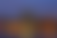 Описание изображения