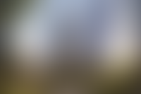 Описание изображения