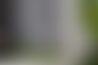 Описание изображения