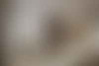 Описание изображения