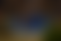 Описание изображения