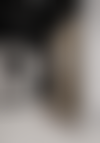 Описание изображения