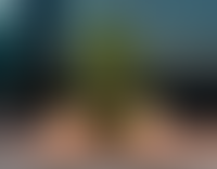 Описание изображения