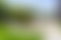 Описание изображения