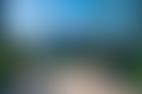 Описание изображения