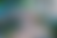 Описание изображения