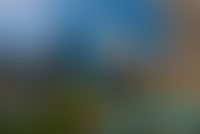 Описание изображения