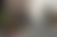 Описание изображения