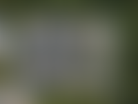 Описание изображения