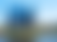 Описание изображения