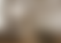 Описание изображения