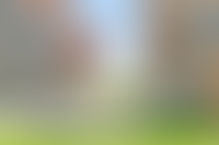 Описание изображения