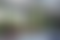 Описание изображения