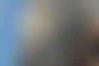 Описание изображения