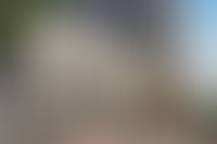 Описание изображения