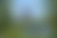 Описание изображения