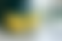 Описание изображения