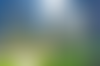 Описание изображения