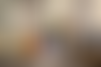 Описание изображения