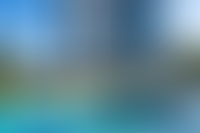 Описание изображения