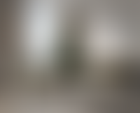 Описание изображения