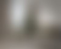 Описание изображения