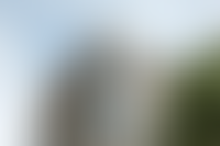 Описание изображения