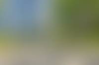 Описание изображения