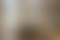 Описание изображения