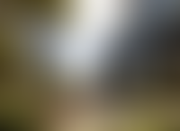 Описание изображения