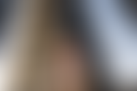 Описание изображения