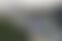 Описание изображения