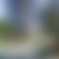 Описание изображения