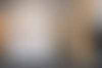 Описание изображения