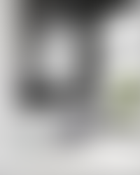 Описание изображения