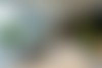 Описание изображения