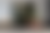 Описание изображения