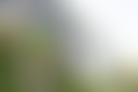 Описание изображения